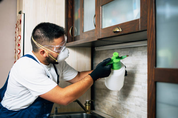 Best Commercial Pest Control Services  in Buffalo, MN
