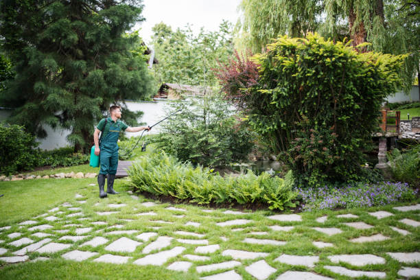 Flea Control Services in Buffalo, MN