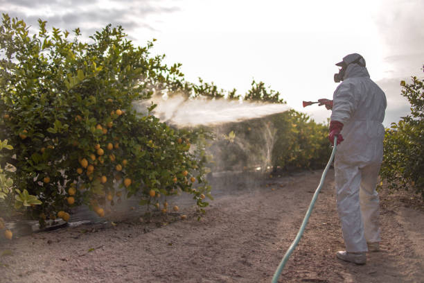 Best Mosquito Control Services  in Buffalo, MN