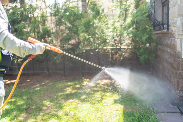 Insect Control in Buffalo, MN