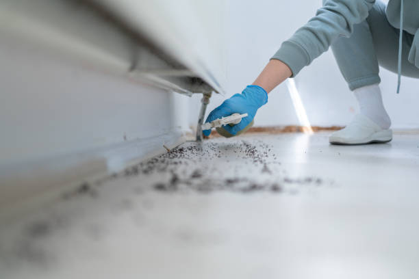 Pest Prevention Services in Buffalo, MN