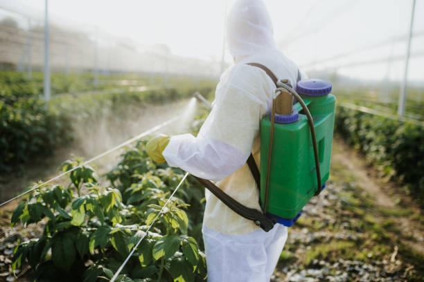 Best Pest Inspection Near Me  in Buffalo, MN